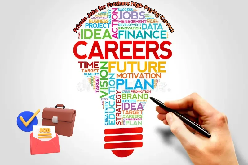 Private Jobs for Freshers: High-Paying Careers to Start Immediately